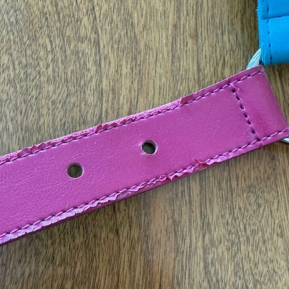 Vintage Express belt